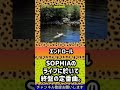 SOPHIA 29th シングル「エンドロール」【曲解説 shorts 松岡充 豊田和貴 都啓一 黒柳能生 赤松芳朋】