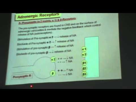 video phone beyonce mp3 Dr.Mohsen - A.N.S. 8 - sympathomimetics - Part 1