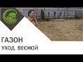 Что делать с газоном весной