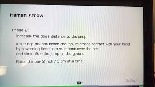 Human Arrow - One Mind Dogs