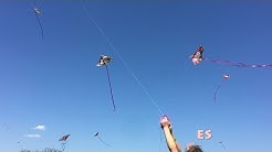 Kites and Bubbles Fun (Kid Fest Kite Fly Nature Learning in #Barrington Park District)