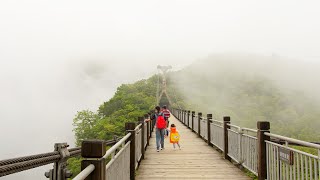 Tianmen Mountain, Zhangjiajie, Walk China in 4K | 张家界天门山