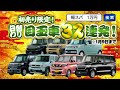 15秒動画