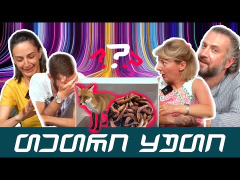 აბა მიდი, გამოიცანი! - რა დევს თეთრ ყუთში? | ოფოფები VS შუა ქალაქში