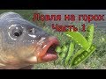 Рыбалка с ночевкой. Ловля на горох.ЧАСТЬ 1.My fishing