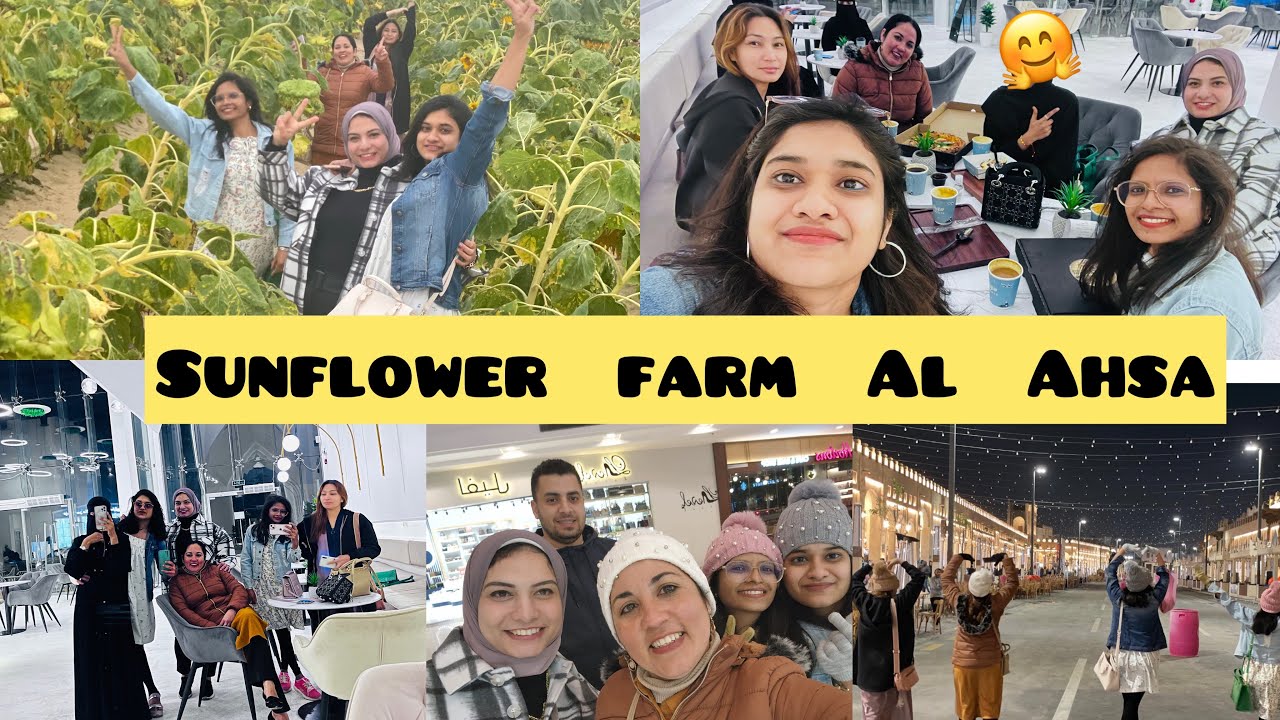 Visited Sunflower Farm In Al Ahsa /Girls Hangout at Sorento cafe/Al
