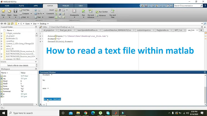 how to read text file in matlab | how to read a .txt file in matlab
