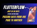 How to Pass Data from One Page to Another in FlutterFlow (Easy Method)