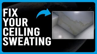 How To Fix Ceiling Sweating (Poor Insulation - Learn The Causes And How To Solve It Easily!)