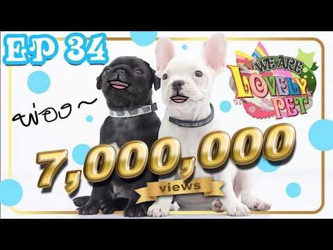 We Are Lovely Pet – “พ่อจ๋อยคร้าบบบบ” [Ep.34] 18+  จบภาค l VRZO