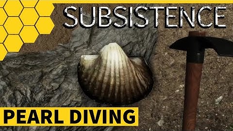 SUBSISTENCE A58 | PEARL DIVING & RIFLE UPGRADE | S6 E19