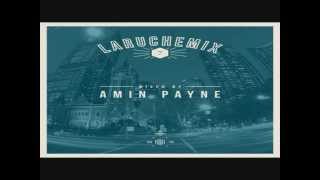 Amin PaYnE - LarucheMIX