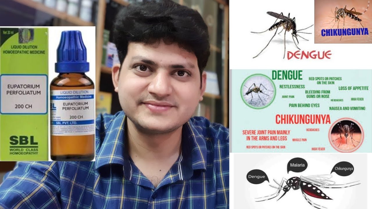 चिकनगुनिया और डेंगू के बारे में सब कुछ जाने । इससे कैसे बचे ? और इसकी होम्योपैथिक दवाइयां ?