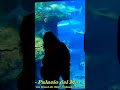 🐟🐠🐡🦈Aquarium Palacio del Mar Donostia San Sebastián  #ytshorts #shorts