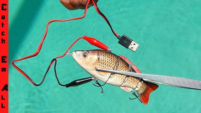 ELECTRIC FISHING LURE uses CHARGED ELECTRICITY to CATCH FISH! 