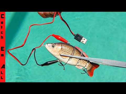 ROBOTIC FISHING LURE! **Does the Animated Lure really catch