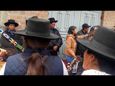 Video: De Hojas Redondas