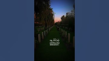 #القرآن_الكريم #القارئ #ياسر_الدوسري #راحة_نفسية #بسم_الله_الرحمن_الرحيم