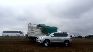 TeamEvironmentKenya responds to president Ruto