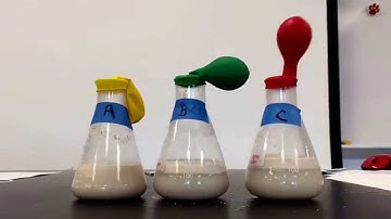 Yeast Cellular Respiration Lab