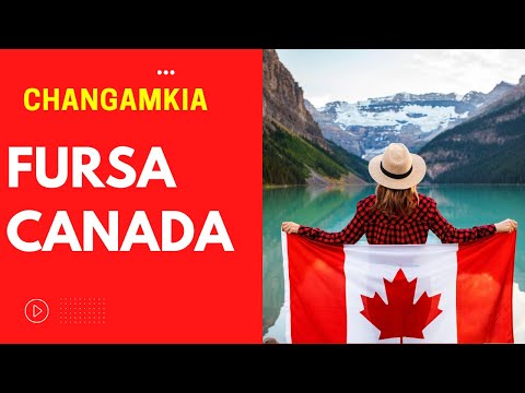Video: Mahali pa Kuhamia Kanada kwa Mmarekani