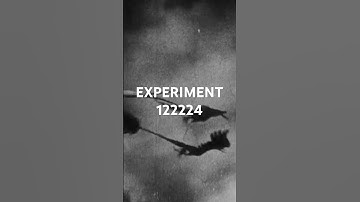 EXPERIMENT 122224 #synthesizer #synth