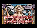 ks. Tomasz Kostecki: pandemia grzechu a pokój Chrystusa