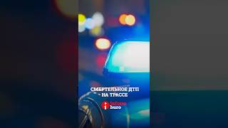 ДТП с пассажирским микроавтобусом. Погибли 12 человек