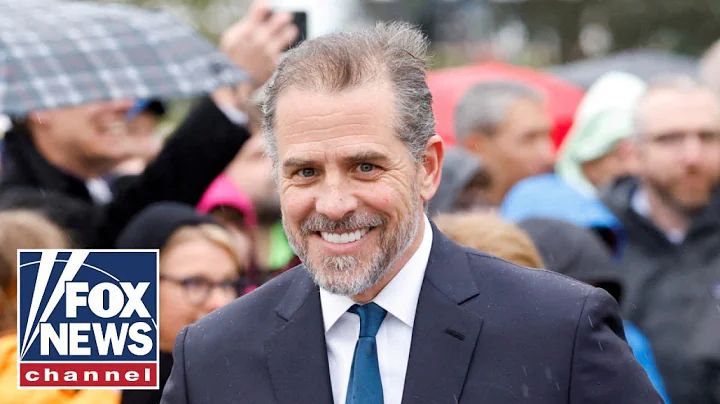 The Hunter Biden plea deal was 'horrifying': Compagno