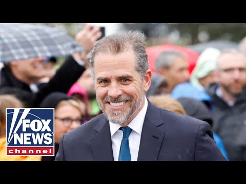 The Hunter Biden plea deal was 'horrifying': Compagno