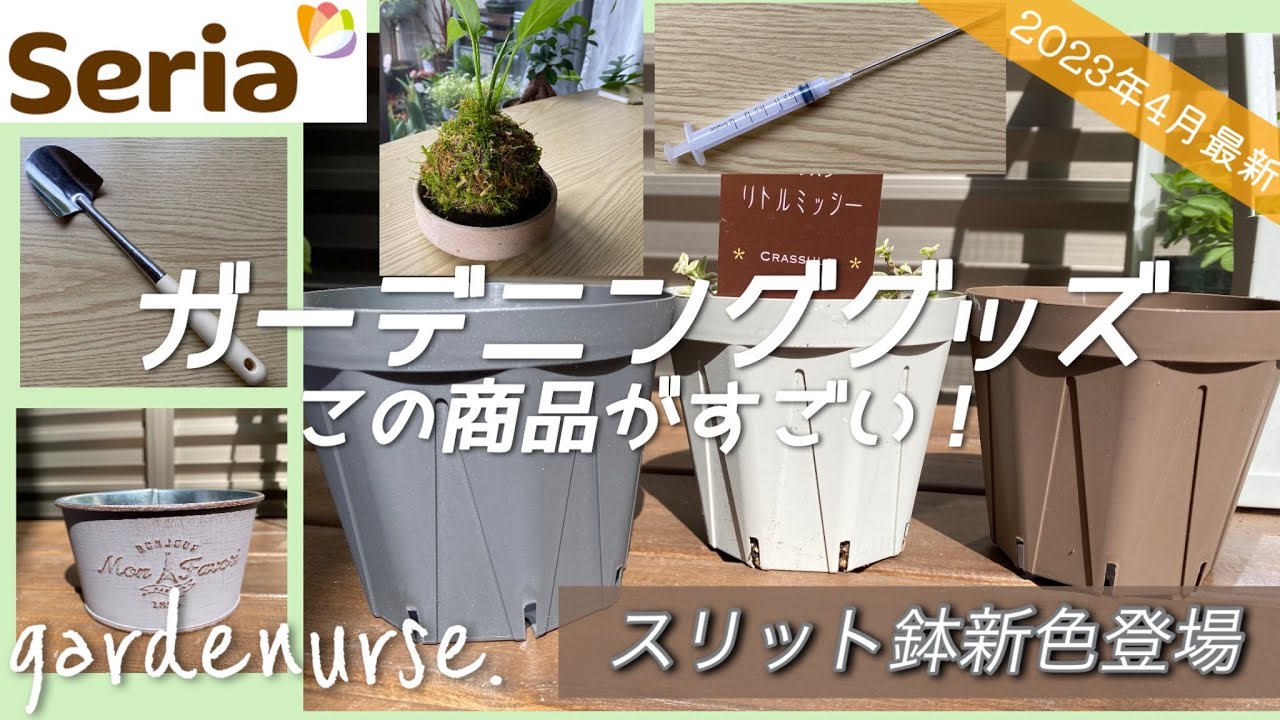 話題の新色登場】2023年4月セリア買ってよかったガーデニンググッズ 