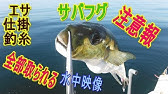 毒なし 白サバフグのさばき方 かねこの気まぐれクック５本目 Youtube