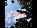 new weather blog