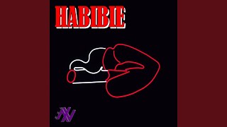 DJ Habibie