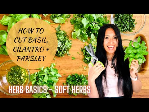 Herb Basics: How to Cut Soft Herbs | How to Chop Basil, Cilantro, Parsley