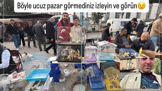 İzmir Kuş Pazarı Yeni Tür. Hayvanlar Geldi Ve Aşırı Ucuza Hayvanlar Izleyin Gelin Selamlar