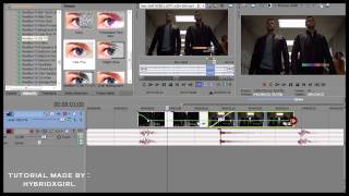 sony vegas | effect#8