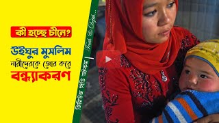 ২০ বছরে কমে যেতে পারে ৪৫ লাখ উইঘুর মুসলমান | জিনিউজবিডি ডটকম