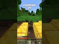 Poniendo un bloque de oro por suscriptor, dia 13