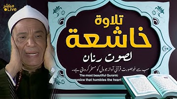 استمع لصوت عذب يحمل الآيات إلى قلبك بسهولة ويعينك على التدبر 🎧 | Soft & Clear Tilawah