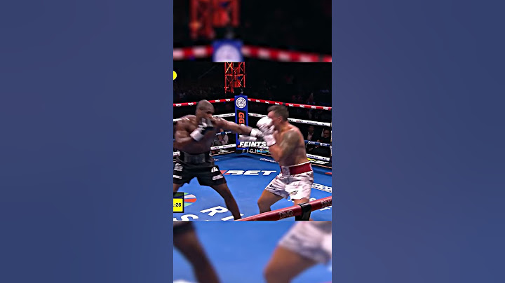 The Best Boxer In The World