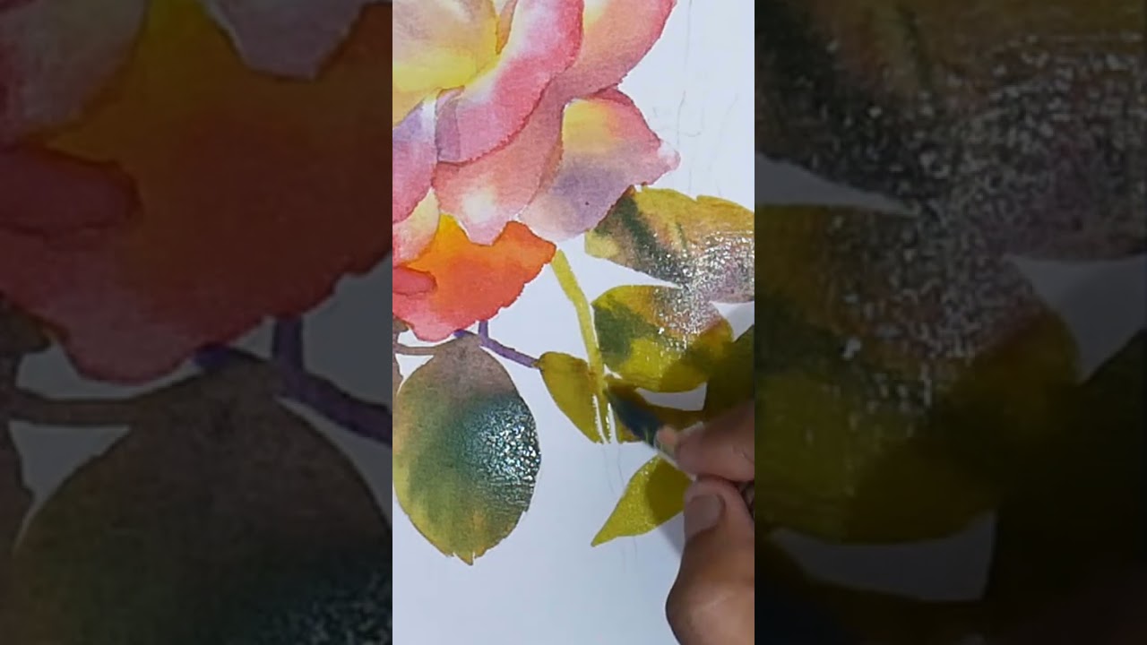 Pink Rose 2024 Watercolor painting