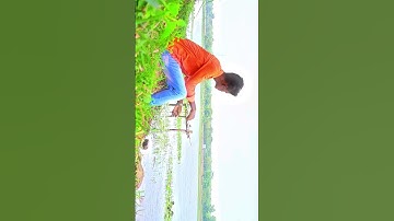 AAM BEGOR 🥀💔NEW SANTALI SHORT VIDEO 2024 #viral #shorts #song #bahadursoren #lovestatus