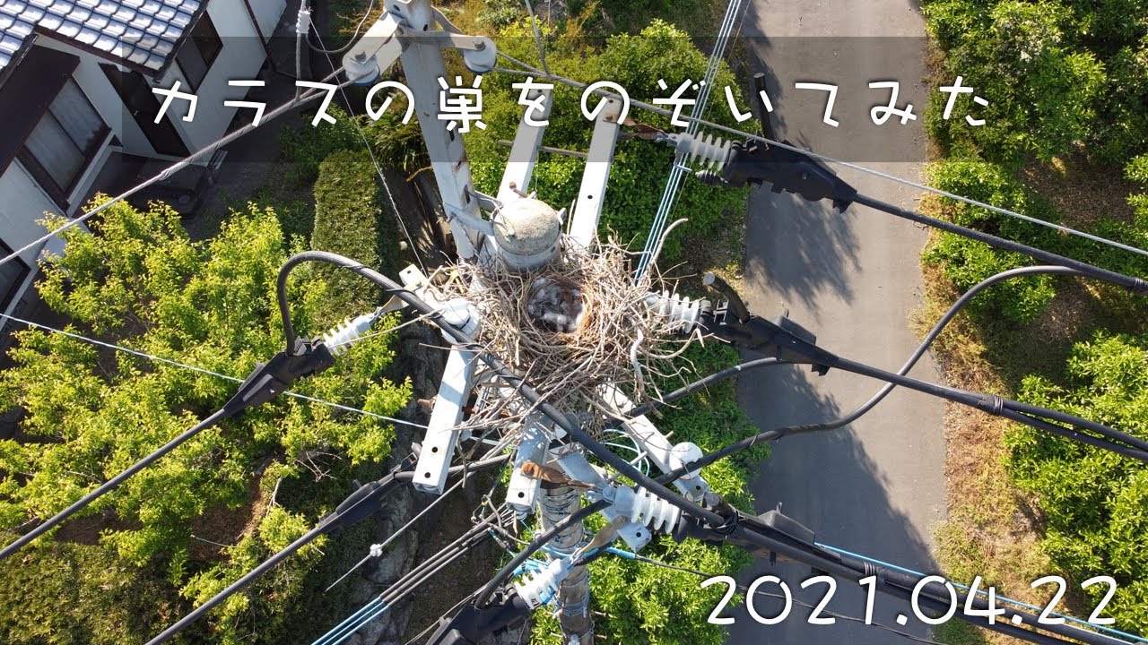 家に防風ネットを張ったよ 台風が来るぞー Youtube