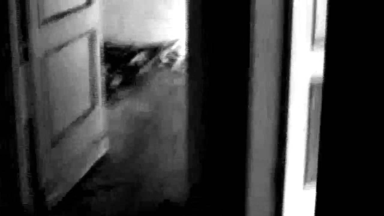 Peter Gual - Tard a foravila