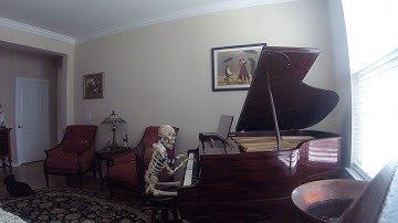 SKELLY the ROBOT Controlled by Arduino and programed using Visuino