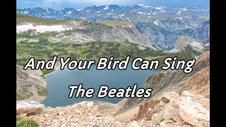 And Your Bird Can Sing / The Beatles  (Pops&Rock 和訳)  #83