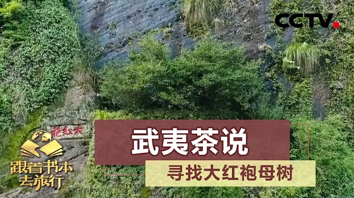 武夷茶說 尋找大紅袍母樹 20200921 |《跟着書本去旅行》課本中國 - 天天要聞