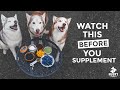 BEST Supplements For Dogs | DOGGO LIFE