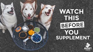 BEST Supplements For Dogs | DOGGO LIFE